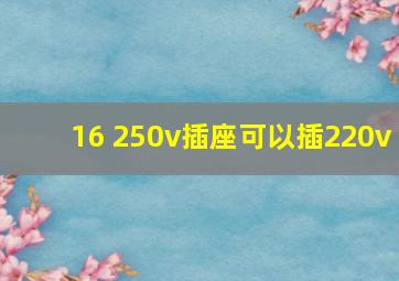 16 250v插座可以插220v